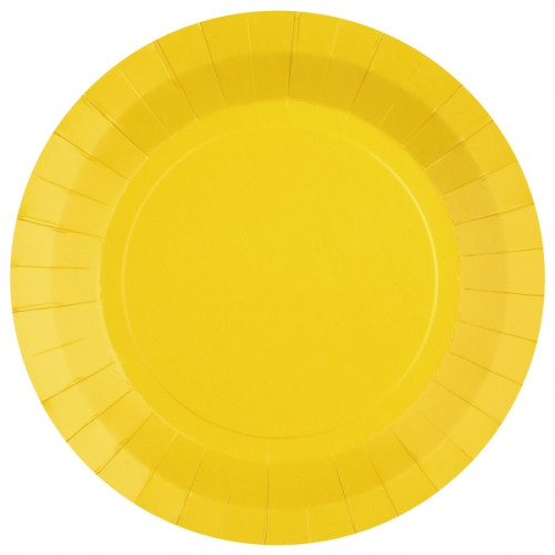 10 ASSIETTES RONDE GRAND MODELE JAUNE