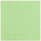 25 SERVIETTES CRYSTAL RAINBOW 33X33CM 2 PLIS MINT