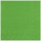 25 SERVIETTES CRYSTAL RAINBOW 33X33CM 2 PLIS VERT