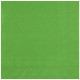 25 SERVIETTES CRYSTAL RAINBOW 33X33CM 2 PLIS VERT