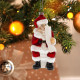 BOULE NOEL PERE NOEL WC