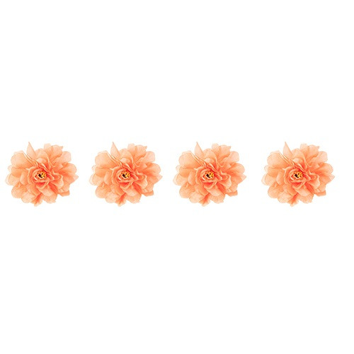 4 PIVOINES CORAIL 9X9CM