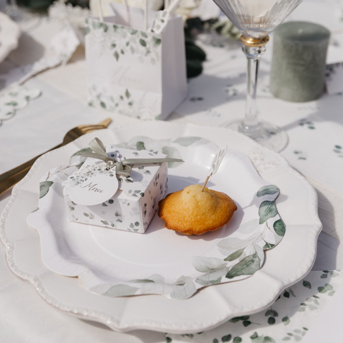 8 ASSIETTES JARDIN BOTANIQUE VERT SAUGE