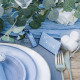 10 MARQUES PLACES BI COLOR BLEU