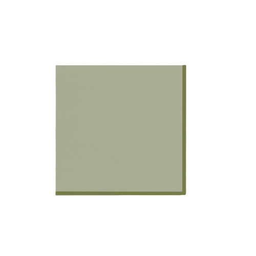 10 SERVIETTES BI-COLOR PAPIER VERT