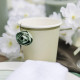 6 GOBELETS BI-COLOR CARTON VERT