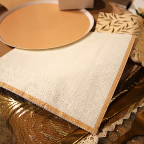 10 SERVIETTES BI-COLOR CREME
