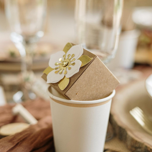 6 GOBELETS BI-COLOR CARTON CREME