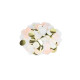 CONFETTIS PAPIER PECHE BLANC OR