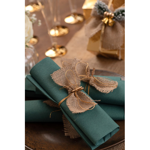 20 SERVIETTES RAINBOW BLEU CANARD