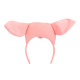 TIARE COCHON