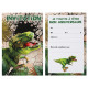 6 CARTES INVITATION DINOSAURE