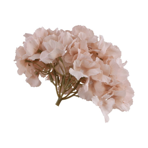 TETE HORTENSIA ROSE POUDRE