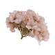 TETE HORTENSIA ROSE POUDRE