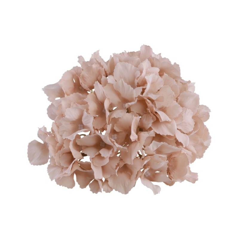 TETE HORTENSIA ROSE POUDRE