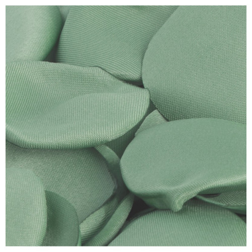 SACHET 50 PETALES ROSE SATIN VERT