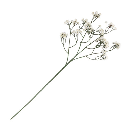 TIGE GYPSOPHILE CREME