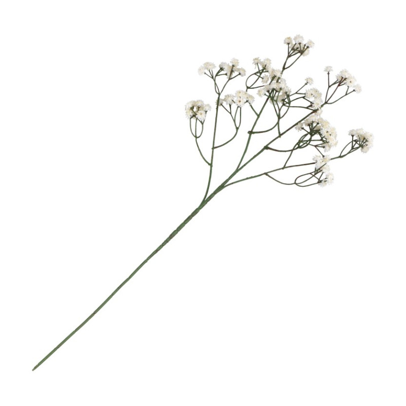 TIGE GYPSOPHILE CREME