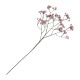 TIGE GYPSOPHILE ROSE