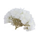 TETE HORTENSIA BLANCHE