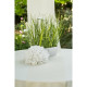 TETE HORTENSIA BLANCHE