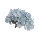 TETE HORTENSIA BLEU CIEL