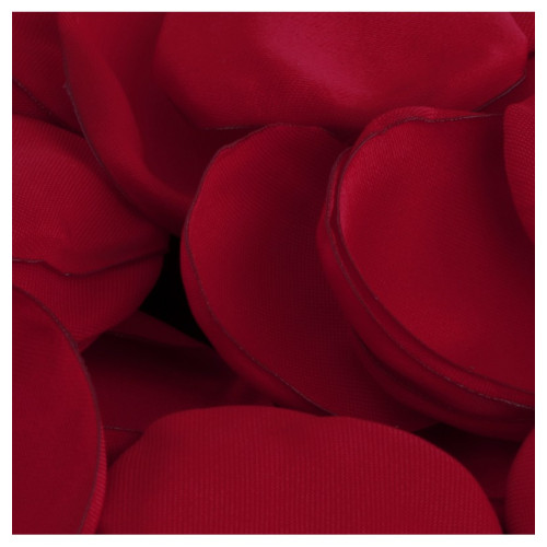 SACHET 50 PETALES ROSE SATIN ROUGE