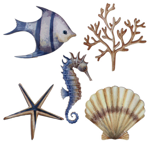 DECO A PARSEMER COQUILLAGE