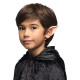 PAIRE D'OREILLES D'ELFE