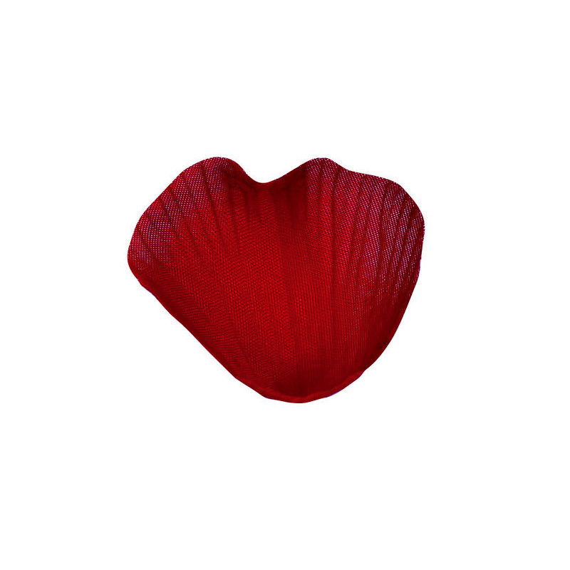 SACHET 100 PETALES BORDEAUX