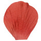 SACHET 100 PETALES TERRACOTTA