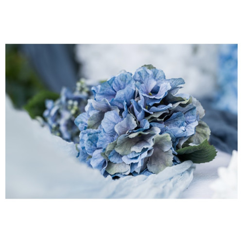 TIGE HORTENSIA BLEU CIEL 35CM