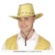CHAPEAU COWBOY OR SEQUINS