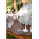 FLUTE TRANSPARENTE 15CL