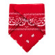 BANDANA ROUGE