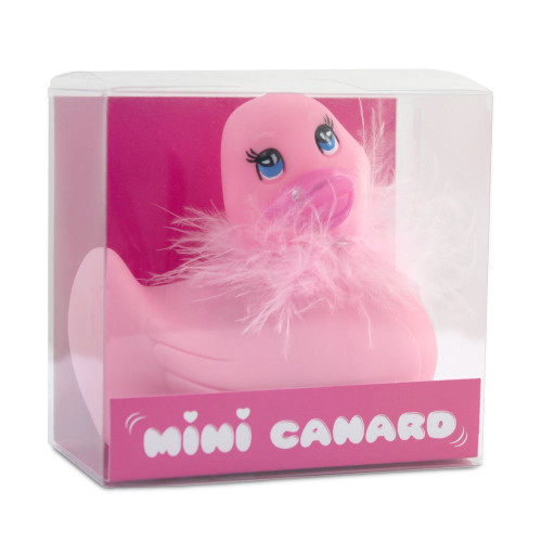 CANARD VIBRO