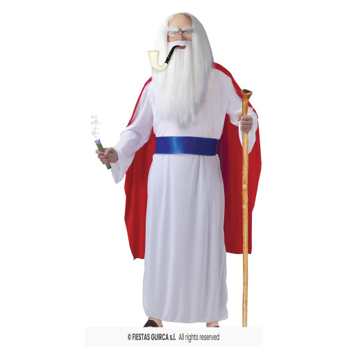 MAGICIEN DE LA FORET L