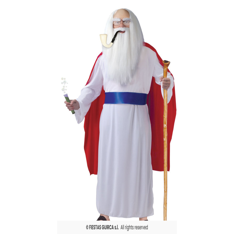 MAGICIEN DE LA FORET L