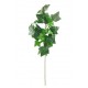 BRANCHE DE LIERRE 60 CM