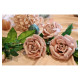 CDT ROSES LUXE VELOURS ROSE POUDRE