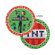 8 ASSIETTES PLATE 23CM MINECRAF