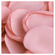 SACHET 50 PETALES ROSE SATIN
