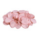 SACHET 50 PETALES ROSE SATIN