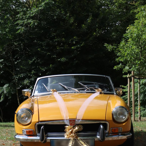KIT DECO VOITURE OR