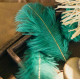 6 PLUMES VERT/PAILLETTE OR