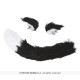 SET CHAT NOIR ET BLANC