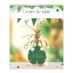 CENTRE DE TABLE ANNIV.TROPICAL