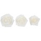 ASSORTIMENT ROSES BLANC X9