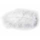 PLUMES 10GR BLANC 5-10CM