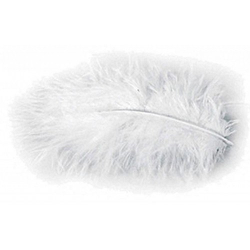 PLUMES 10GR BLANC 5-10CM